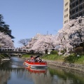 実際訪問したユーザーが直接撮影して投稿した本丸公園富山城址公園の写真