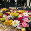 実際訪問したユーザーが直接撮影して投稿した志摩芥屋神社大祖神社の写真