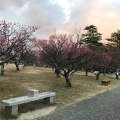 実際訪問したユーザーが直接撮影して投稿した若松町公園南公園の写真