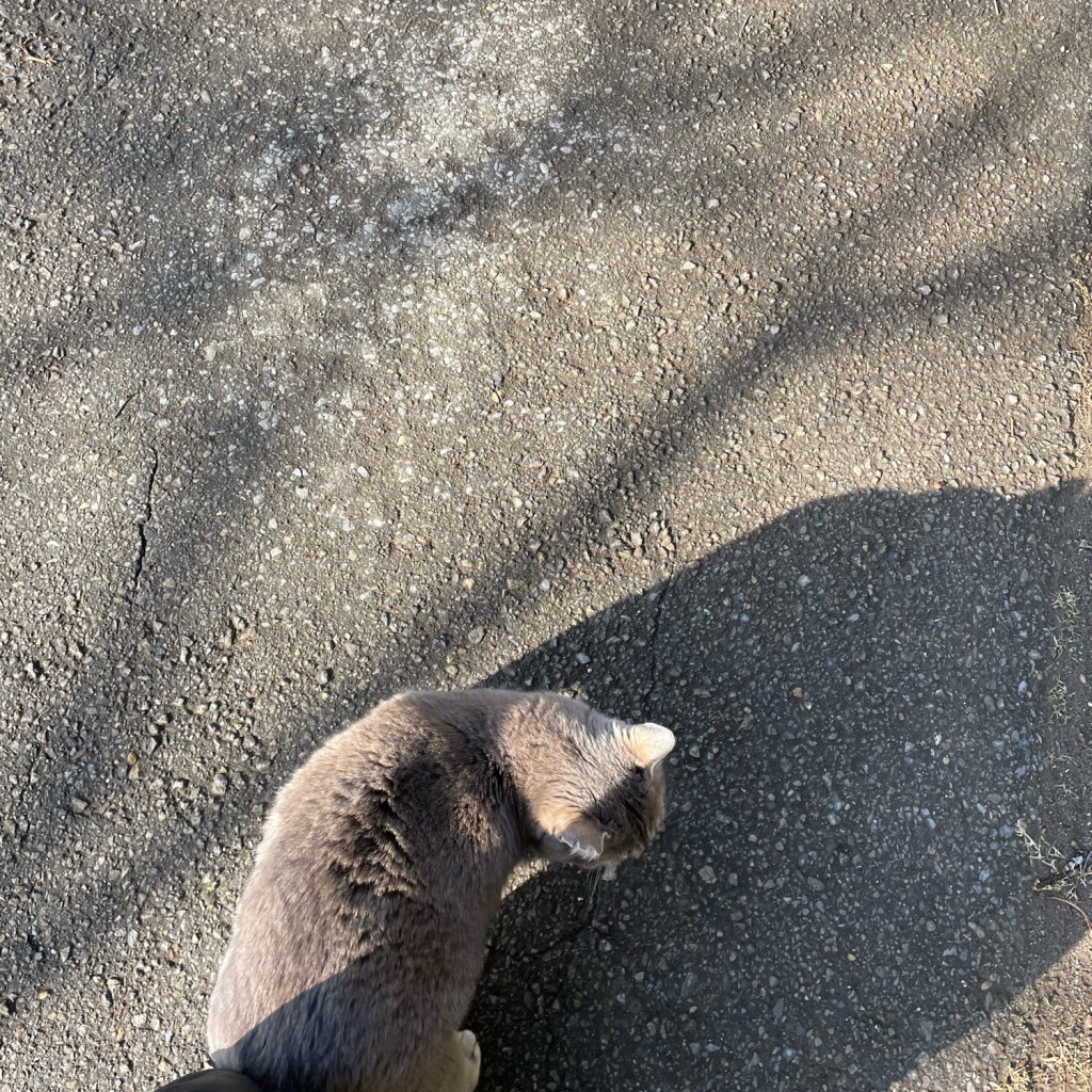 実際訪問したユーザーが直接撮影して投稿した下新田博物館袖ケ浦市郷土博物館の写真