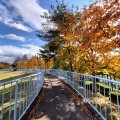 実際訪問したユーザーが直接撮影して投稿した開成公園開成山公園の写真