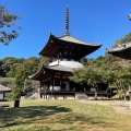 実際訪問したユーザーが直接撮影して投稿した根来寺根來寺の写真