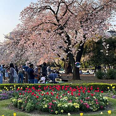 新宿御苑 三角花壇のundefinedに実際訪問訪問したユーザーunknownさんが新しく投稿した新着口コミの写真