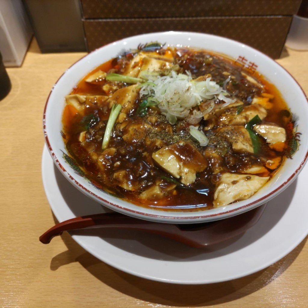 ユーザーが投稿した麻婆麺の写真 - 実際訪問したユーザーが直接撮影して投稿した河原町ラーメン専門店ガリデブチュウの写真