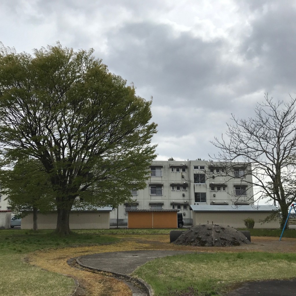 実際訪問したユーザーが直接撮影して投稿した六郷公園大島児童公園の写真
