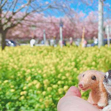 実際訪問したユーザーが直接撮影して投稿した南下浦町上宮田公園小松ケ池公園の写真