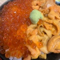 うにといくら丼 うにといくら丼 - 実際訪問したユーザーが直接撮影して投稿した登別東町魚介 / 海鮮料理雲丹 まるひらの写真のメニュー情報