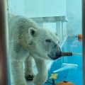 実際訪問したユーザーが直接撮影して投稿した健軍動物園熊本市動植物園の写真