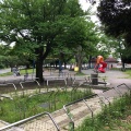 実際訪問したユーザーが直接撮影して投稿した反町公園反町公園の写真