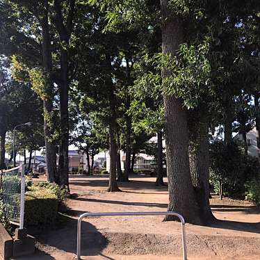 実際訪問したユーザーが直接撮影して投稿した鶴ヶ丘公園どんぐり公園の写真