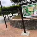 実際訪問したユーザーが直接撮影して投稿した谷中公園しょうぶ沼公園の写真