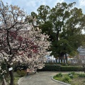 実際訪問したユーザーが直接撮影して投稿した公園長曽根楠塚公園の写真
