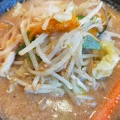 野菜味噌 - 実際訪問したユーザーが直接撮影して投稿した高林南町ラーメン専門店とろこく味噌らーめん みそや源兵衛 太田店の写真のメニュー情報