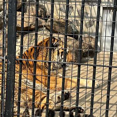 周南市徳山動物園のundefinedに実際訪問訪問したユーザーunknownさんが新しく投稿した新着口コミの写真