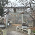 実際訪問したユーザーが直接撮影して投稿した安土町東老蘇神社奥石神社の写真