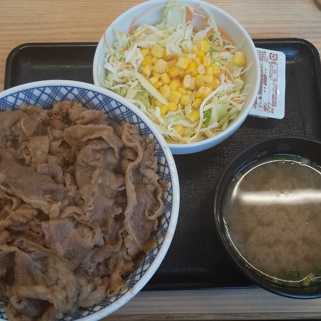 ユーザーが投稿した牛丼超特盛の写真 - 実際訪問したユーザーが直接撮影して投稿した野中牛丼吉野家 170号線藤井寺店の写真