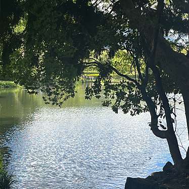 実際訪問したユーザーが直接撮影して投稿した湯布院町川上神社天祖神社の写真