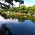 実際訪問したユーザーが直接撮影して投稿した弥栄公園淵野辺公園の写真