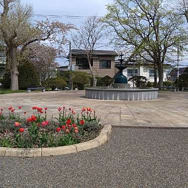 ピノっちさんが投稿した青柳町公園のお店函館公園/ハコダテコウエンの写真