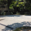 実際訪問したユーザーが直接撮影して投稿した木月公園井田中ノ町南公園の写真