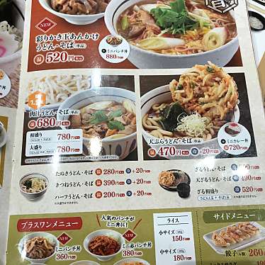 MANUTさんが投稿した紙敷うどんのお店山田うどん食堂 松戸高塚店/ヤマダウドンショクドウ マツドタカツカテンの写真