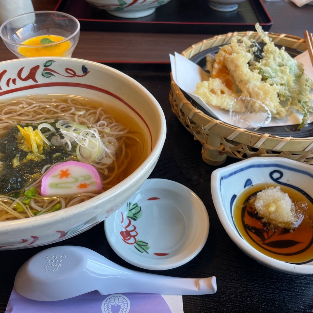 ユーザーが投稿した季節天ぷら膳の写真 - 実際訪問したユーザーが直接撮影して投稿した高林そば天竜そば 一心庵の写真