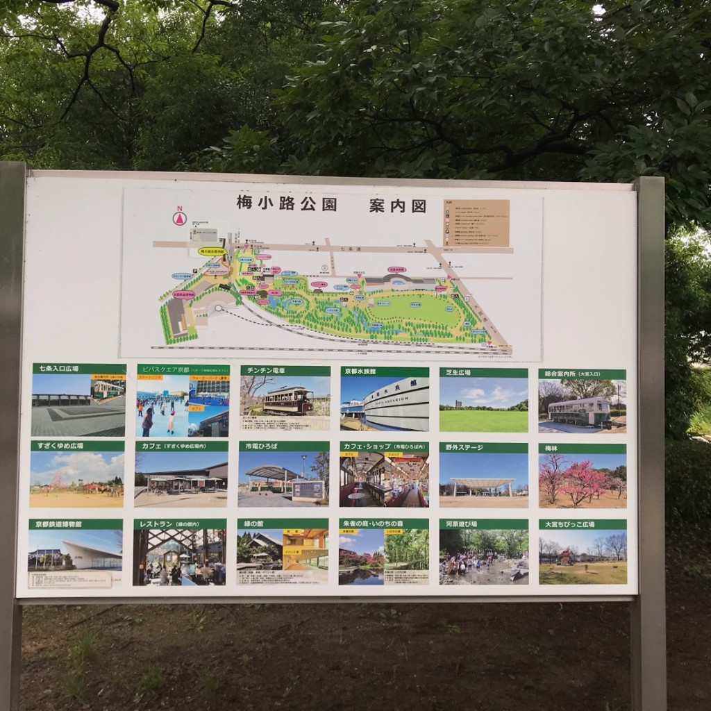 タエゾーさんが投稿した観喜寺町公園のお店梅小路公園/ウメコウジコウエンの写真