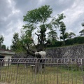 実際訪問したユーザーが直接撮影して投稿した矢並町動物園鞍ケ池公園動物園の写真