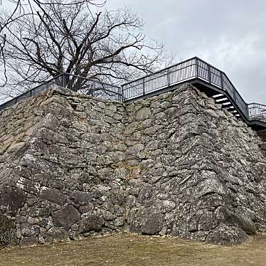 実際訪問したユーザーが直接撮影して投稿した松代町松代城 / 城跡松代城 御櫓跡の写真