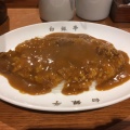 実際訪問したユーザーが直接撮影して投稿した南本町カレーカレー専門店 白銀亭  イトゥビル店の写真