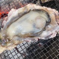 実際訪問したユーザーが直接撮影して投稿した蓑島魚介 / 海鮮料理カキ小屋永光丸の写真