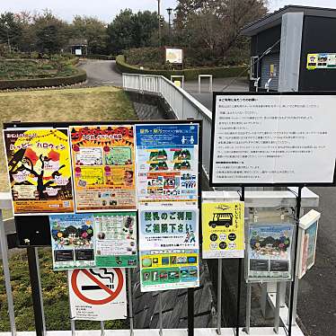 実際訪問したユーザーが直接撮影して投稿した大谷公園東松山ぼたん園の写真