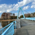 実際訪問したユーザーが直接撮影して投稿した水元公園橋水元大橋の写真