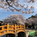 実際訪問したユーザーが直接撮影して投稿した吉之丸公園九華公園の写真