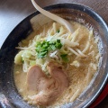 実際訪問したユーザーが直接撮影して投稿した若草ラーメン / つけ麺麺屋 みそいちの写真