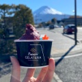 実際訪問したユーザーが直接撮影して投稿した船津アイスクリームFunari GELATERIAの写真