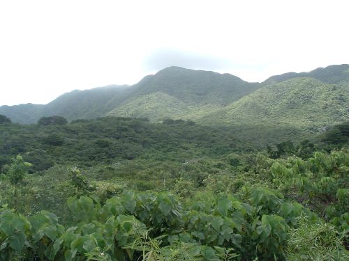 実際訪問したユーザーが直接撮影して投稿した山 / 峠古見岳の写真