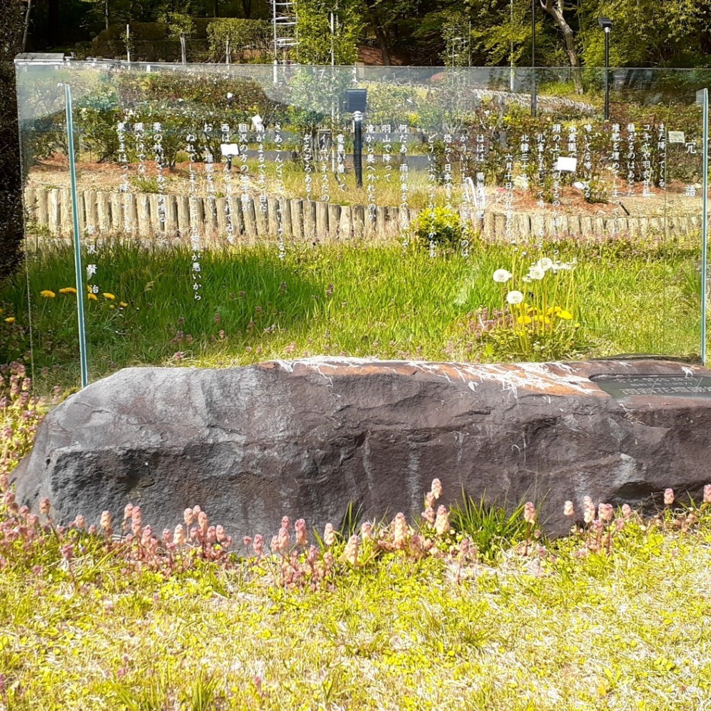 実際訪問したユーザーが直接撮影して投稿した湯本植物園 / 樹木園花巻温泉 バラ園の写真