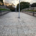実際訪問したユーザーが直接撮影して投稿した砧公園橋パークブリッジの写真