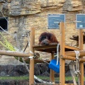 実際訪問したユーザーが直接撮影して投稿した程久保動物園多摩動物公園の写真