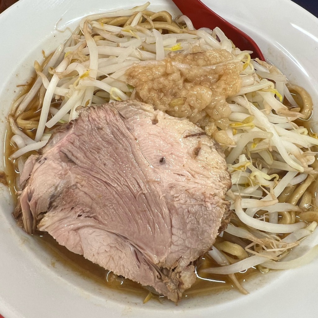 実際訪問したユーザーが直接撮影して投稿した西牛谷ラーメン / つけ麺立川マシマシ 古河125号店の写真