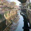 実際訪問したユーザーが直接撮影して投稿した関口公園江戸川公園の写真