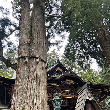 三峯神社 御神木のundefinedに実際訪問訪問したユーザーunknownさんが新しく投稿した新着口コミの写真