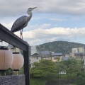 実際訪問したユーザーが直接撮影して投稿した美濃屋町カフェKawa Cafe かわカフェの写真