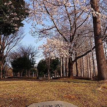 実際訪問したユーザーが直接撮影して投稿した御幸が丘公園科学万博記念公園の写真