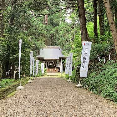 実際訪問したユーザーが直接撮影して投稿した涌谷神社黄金山神社の写真