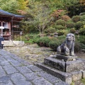 実際訪問したユーザーが直接撮影して投稿した亀岡寺亀岡文殊堂の写真