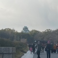 実際訪問したユーザーが直接撮影して投稿した大阪城公園大阪城公園の写真