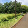 実際訪問したユーザーが直接撮影して投稿した関野町公園小金井公園の写真