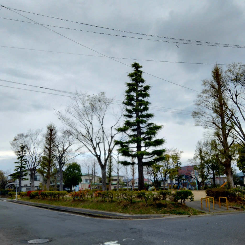 実際訪問したユーザーが直接撮影して投稿した土瓜公園木葉山公園の写真